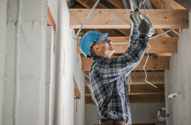 Best Electrical Upgrades for Homes  in Hanna City, IL